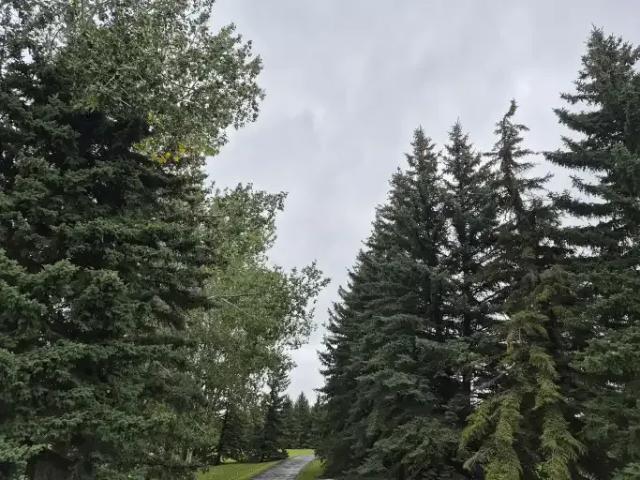 House for rent in Watermark, Rocky View County