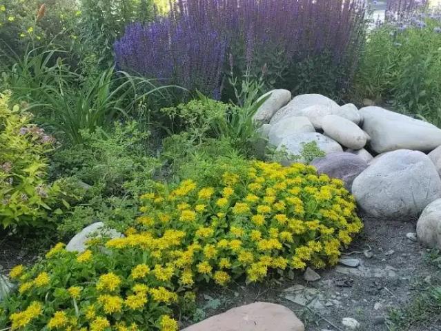House for rent in Northwest, Alberta