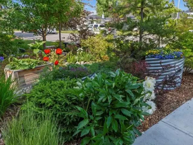 House for rent in Bowness, Calgary