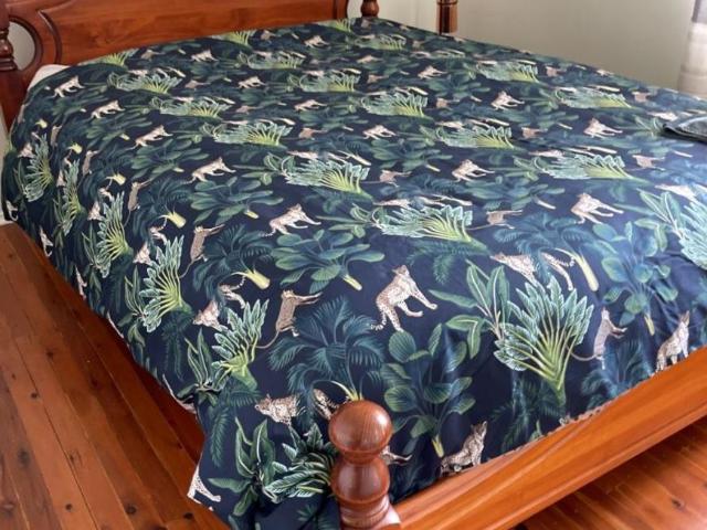 House for rent in Dysart, Queensland