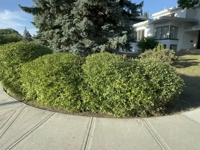House for rent in Wedgewood, Alberta
