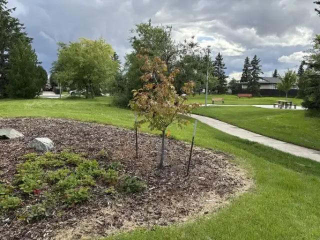 House for rent in Wedgewood, Alberta