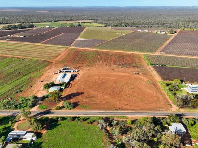 House for sale in Loveday, Barmera