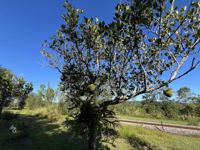 House for sale in Warrubullen, Cassowary Coast Regional