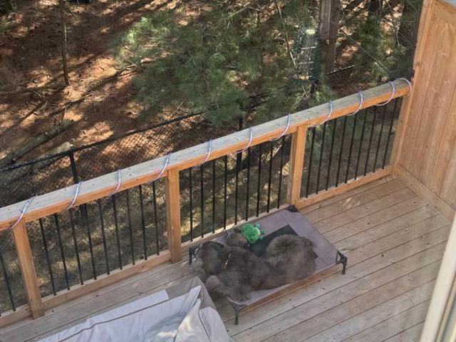 Room for rent in Guelph, Ontario