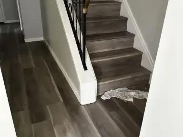 Townhouse for rent in Wedgewood, Alberta