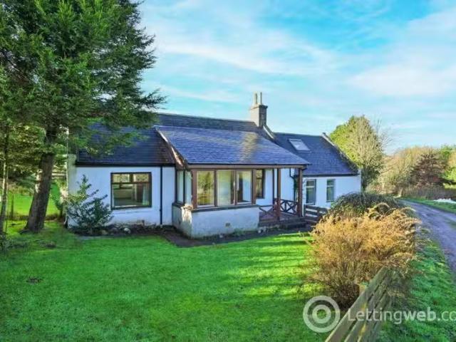 House for rent