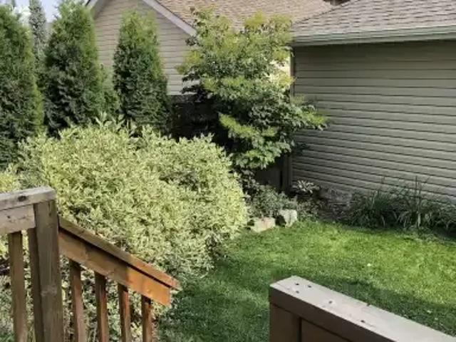 Apartment for rent in Wedgewood, Alberta