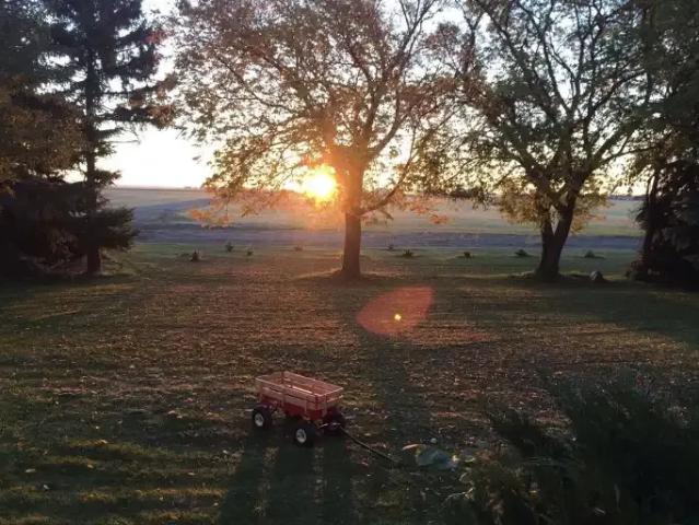 Apartment for rent in Willow Creek, Alberta