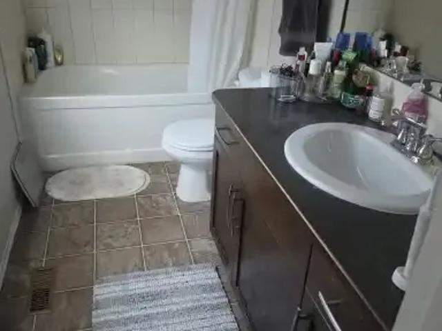 House for rent in Prairie Springs, Airdrie