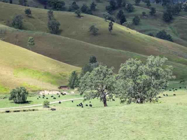 House for sale in Bellbrook, New South Wales