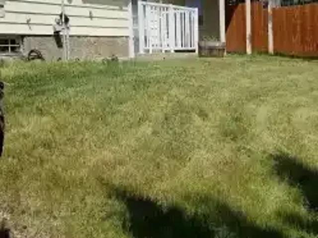 House for rent in Northwest, Alberta
