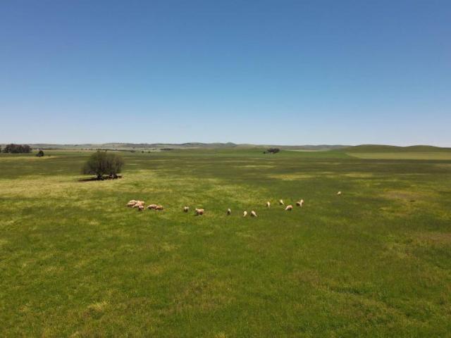 House for sale in Goyder, South Australia