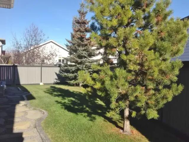 House for rent in Rolly View, Alberta