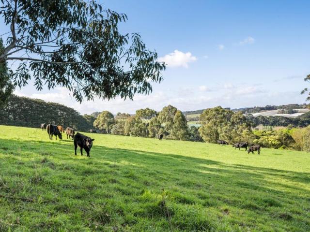 House for sale in Main Ridge, Melbourne