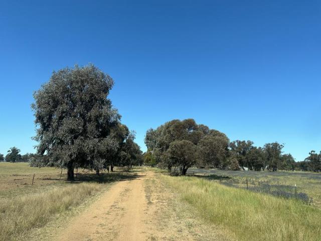 House for sale in Quandialla, New South Wales