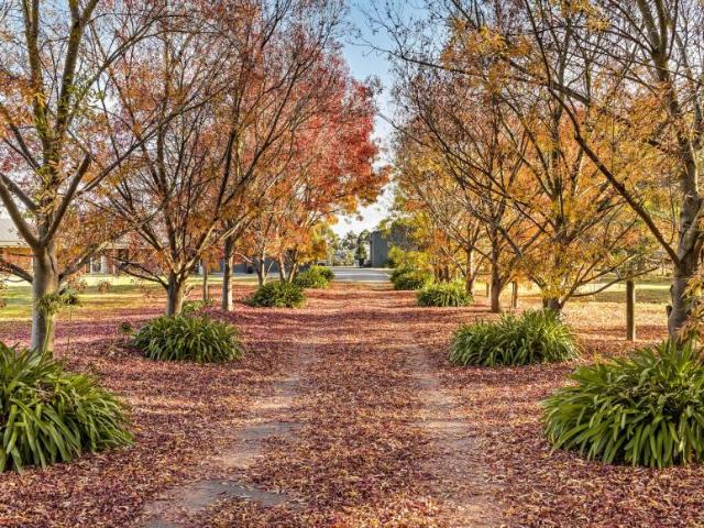House for sale in Riddells Creek, Victoria