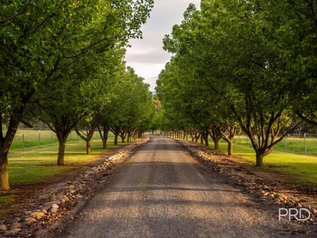 House for sale in Table Top, Albury City Council