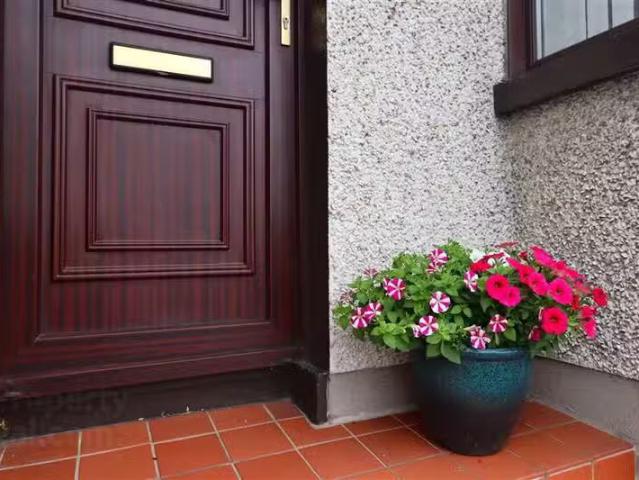 House to rent