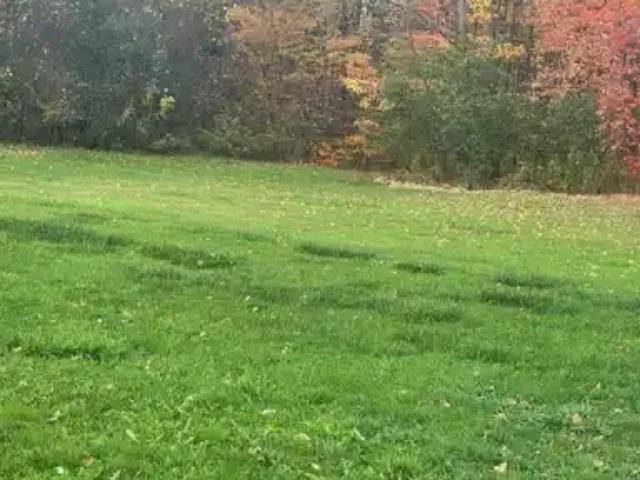 House for rent in York, Ontario