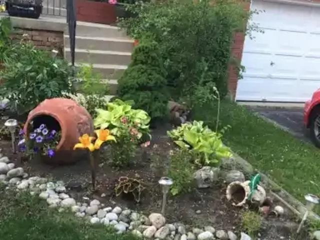 House for rent in York, Ontario