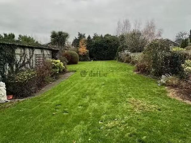 House to rent