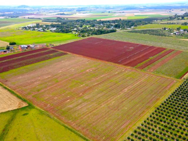Acreage for sale in Tablelands, Queensland
