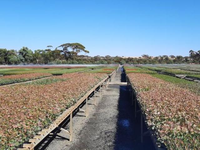 House for sale in Western Australia