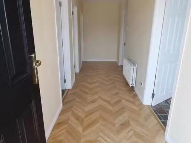 House to rent