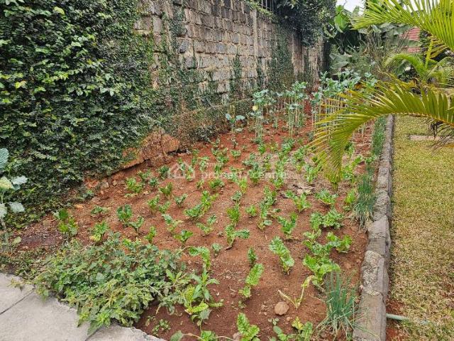 House for rent in Muthaiga, Kiambu