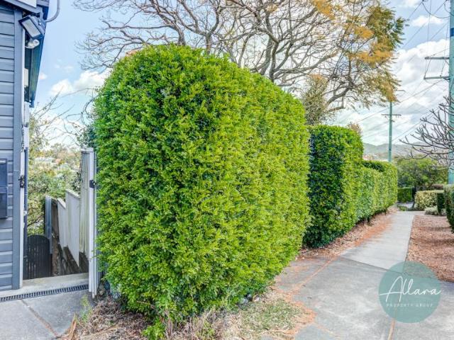 Apartment for rent in Toombul, Queensland