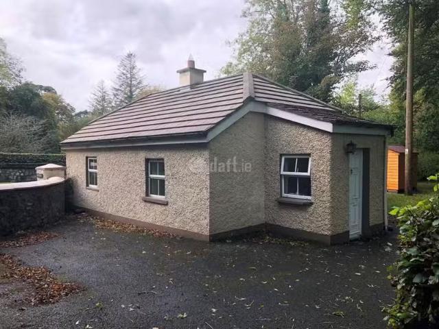 House to rent