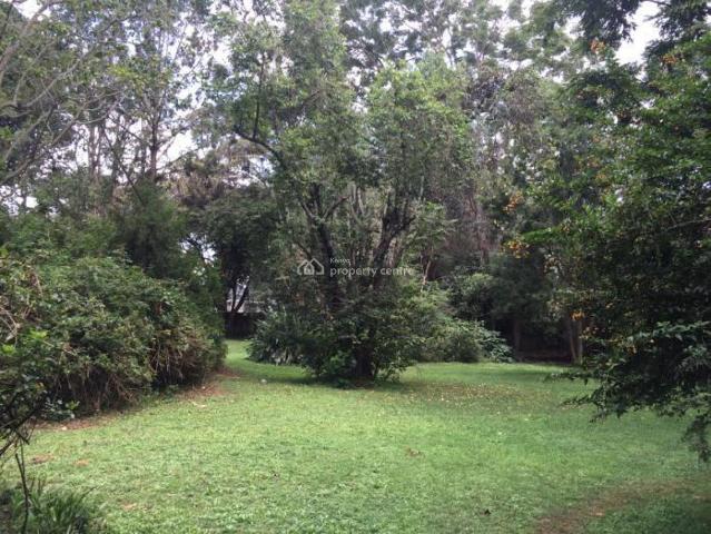 House for rent in Muthaiga, Kiambu