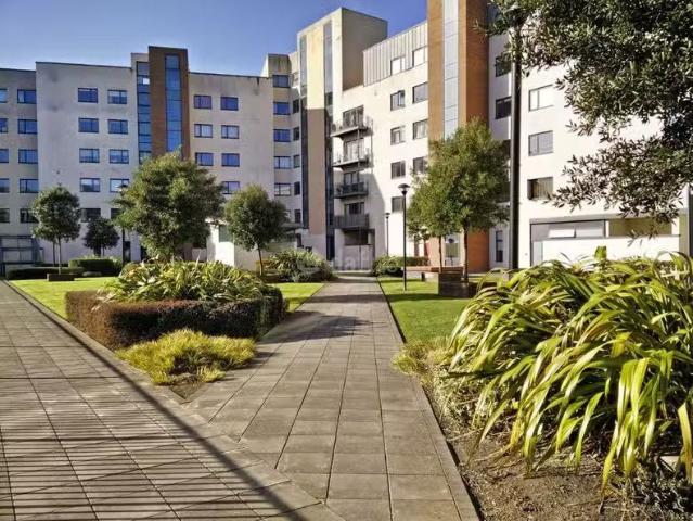Apartment to rent