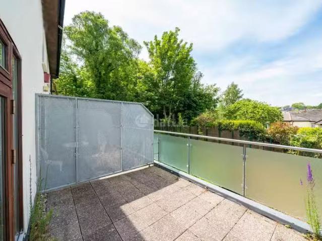 Apartment to rent