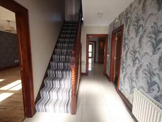 House to rent