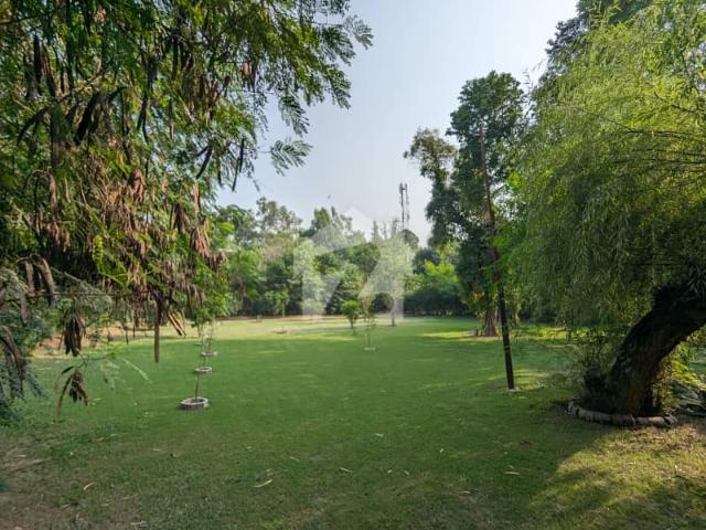 Property for rent in اسلام آباد, زون 1