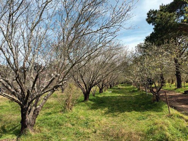 House for sale in Gilead, New South Wales