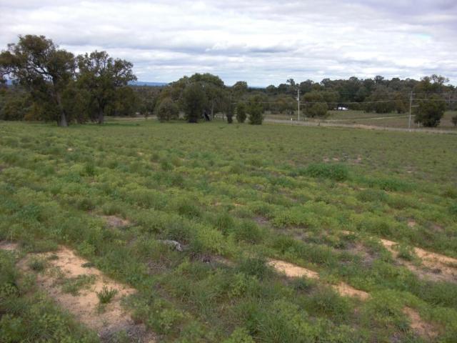 House for sale in Karnup, Western Australia