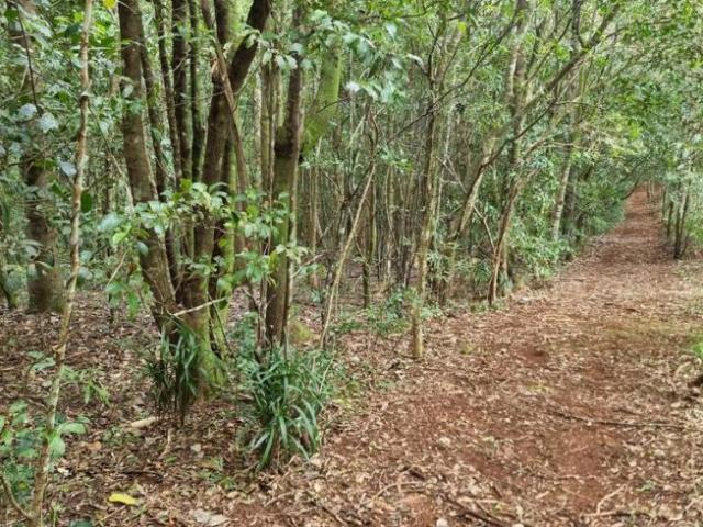 House for sale in Lindendale, Lismore City Council