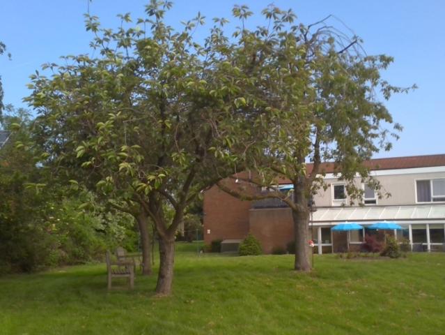 Flat for rent in Sheffield, South Yorkshire