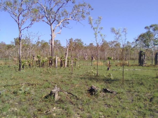 Land for sale in Adelaide River, Northern Territory