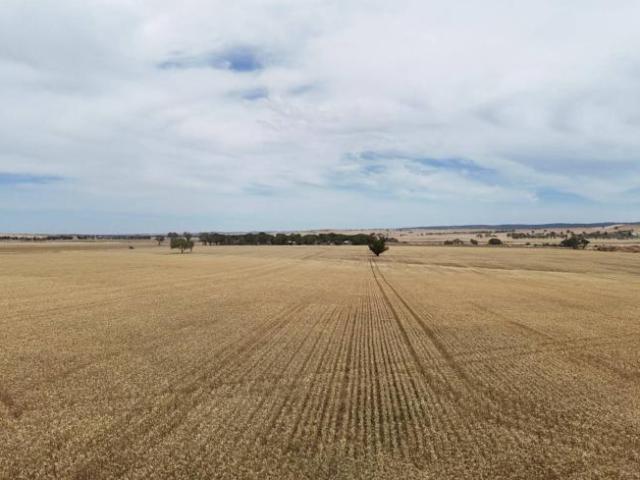 Land for sale in Appila, South Australia