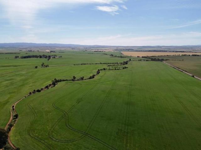 Land for sale in Appila, South Australia