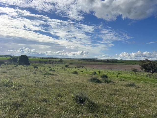 Land for sale in Appila, South Australia
