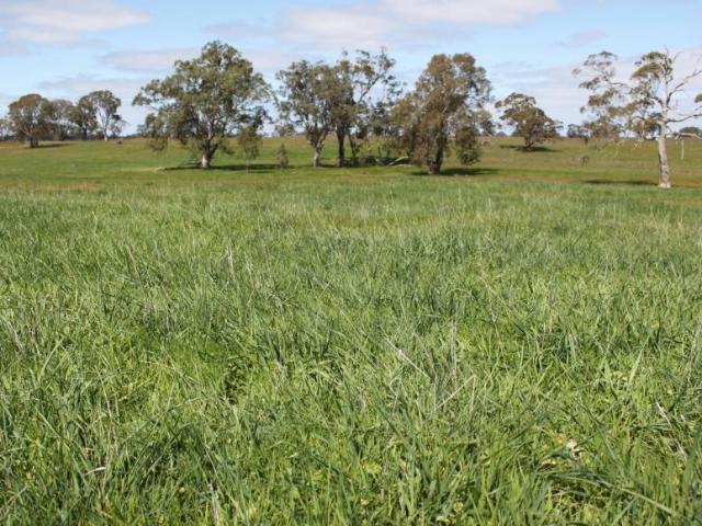 Land for rent in Apsley, Victoria