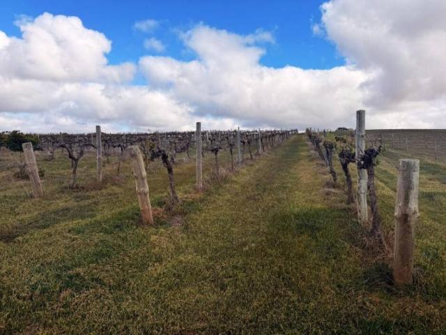 Land for sale in South Australia