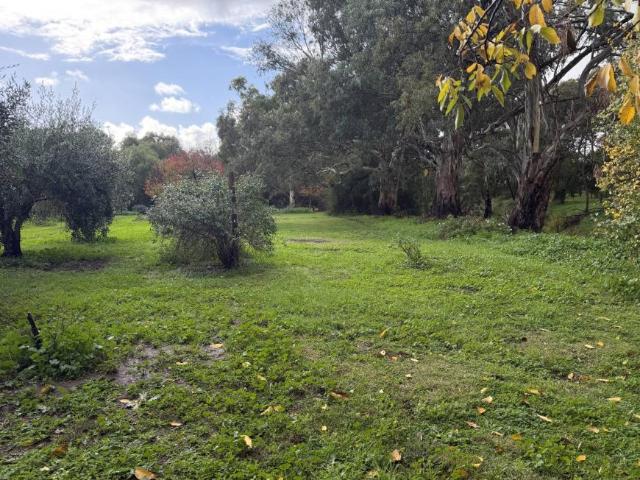 Land for sale in South Australia