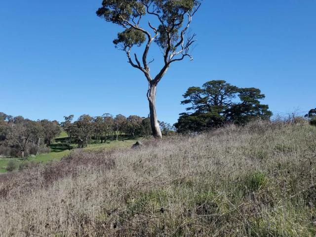 Land for sale in New South Wales
