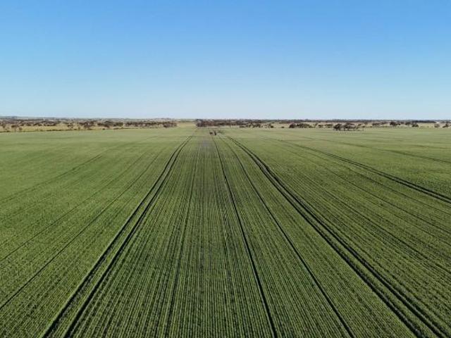 Land for sale in Blyth, Wakefield Regional Council